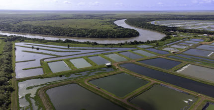 Farm expansion project