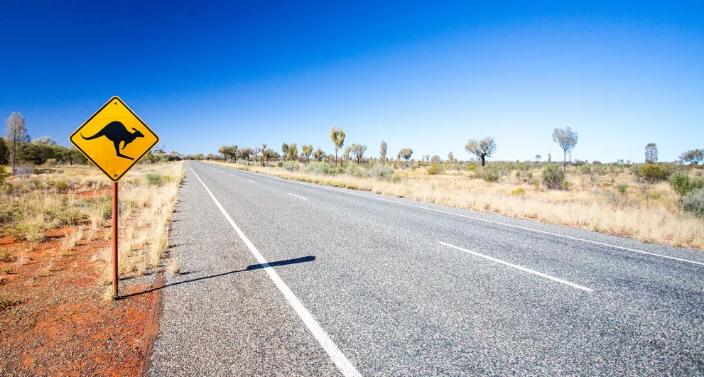 road in desert with yellow kangaroo sign and blue sky