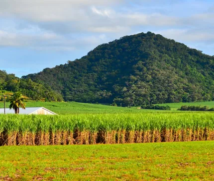 farmland in north queensland on media release