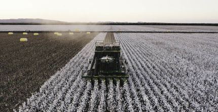 Kimberley Cotton Co - Aerial view of cotton machine.