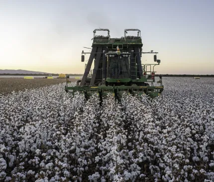 Cotton gin just the tonic for the Kimberley