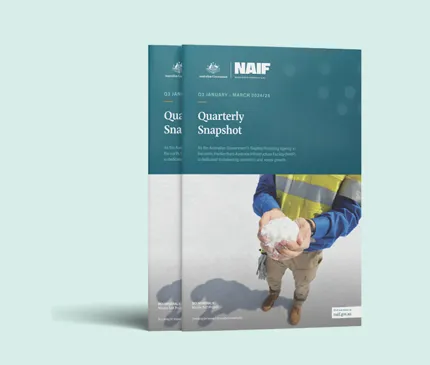 NAIF Quarterly Snapshot Q3 2024-25